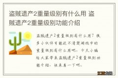 盗贼遗产2重量级别有什么用 盗贼遗产2重量级别功能介绍