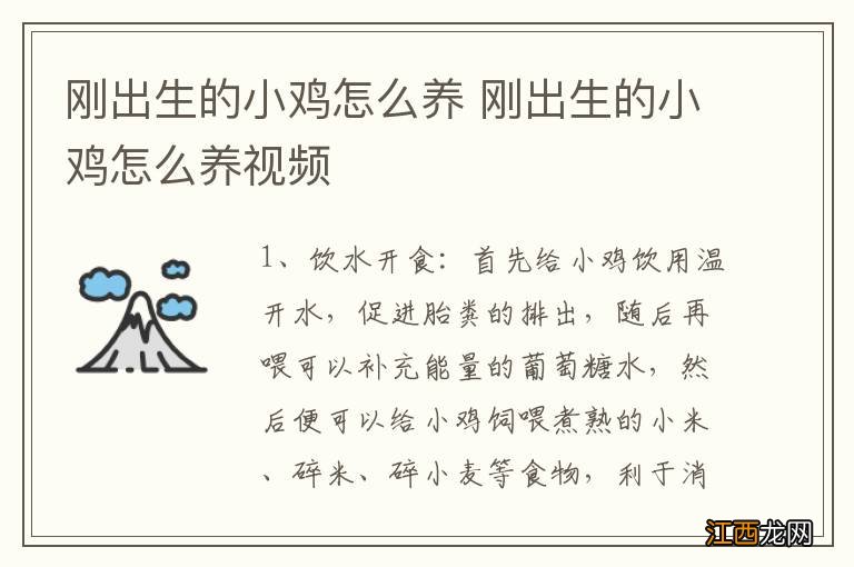 刚出生的小鸡怎么养 刚出生的小鸡怎么养视频