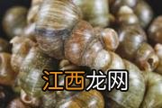 哺乳期能吃丝瓜吗 哺乳期吃丝瓜要注意什么