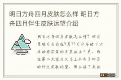 明日方舟四月皮肤怎么样 明日方舟四月伴生皮肤远望介绍