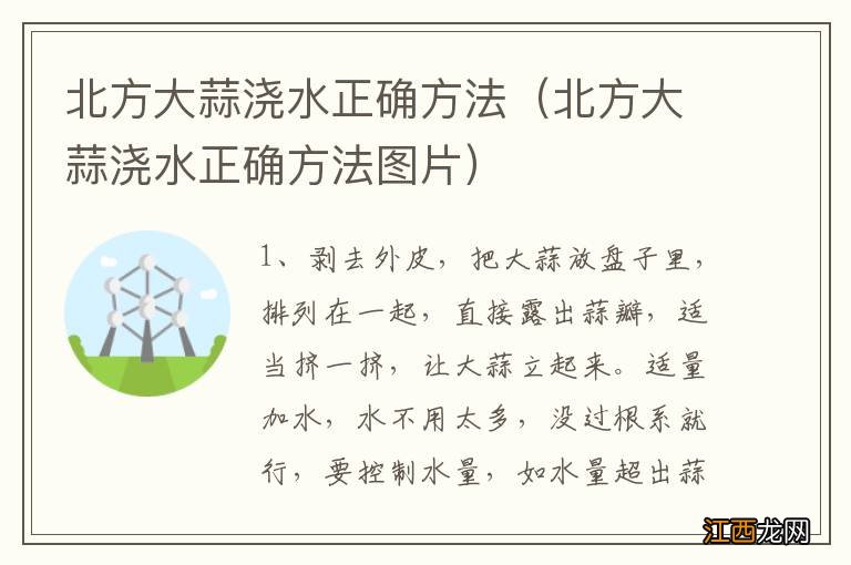 北方大蒜浇水正确方法图片 北方大蒜浇水正确方法