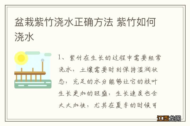 盆栽紫竹浇水正确方法 紫竹如何浇水