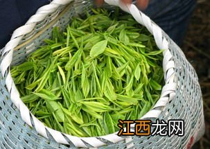 茶叶在家怎么抄