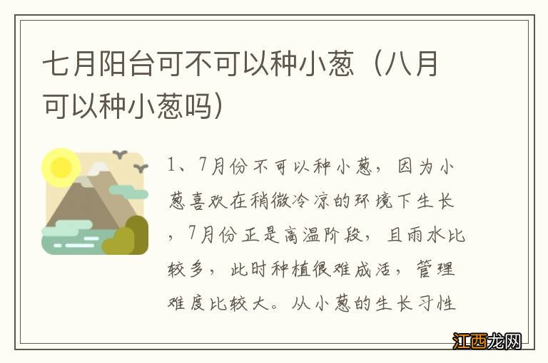 八月可以种小葱吗 七月阳台可不可以种小葱