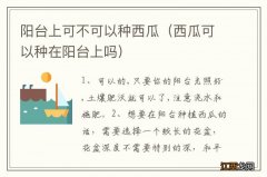 西瓜可以种在阳台上吗 阳台上可不可以种西瓜