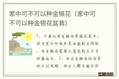 家中可不可以种金银花盆栽 家中可不可以种金银花