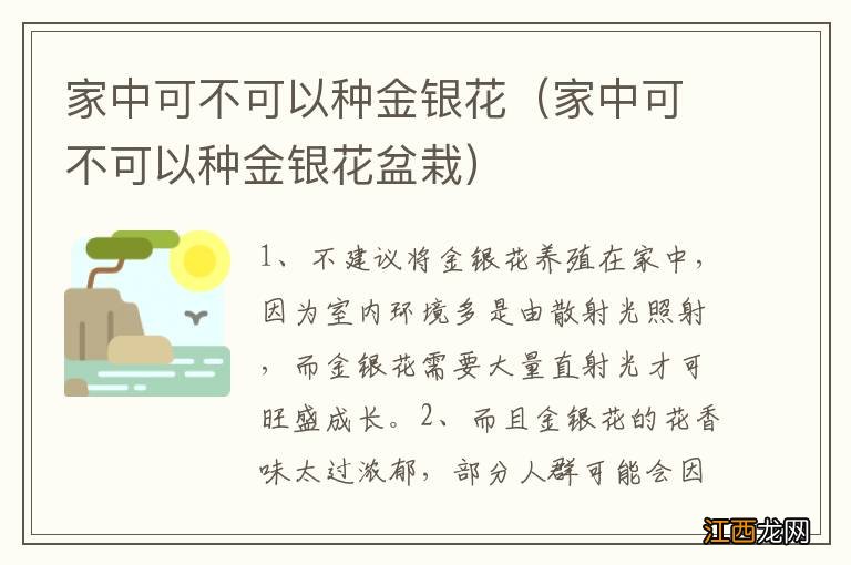 家中可不可以种金银花盆栽 家中可不可以种金银花