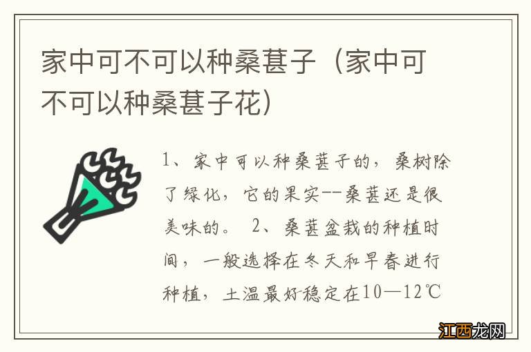 家中可不可以种桑葚子花 家中可不可以种桑葚子