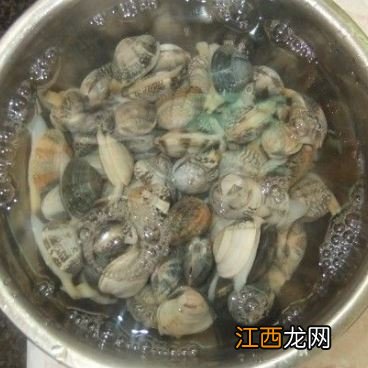 炒花哈用开水煮多久