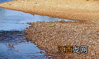 雨声在滴答我已哭到沙哑这是什么歌 歌词雨声在滴答我已哭到沙哑的歌