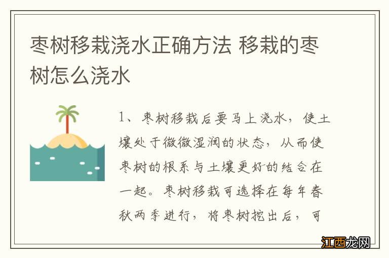 枣树移栽浇水正确方法 移栽的枣树怎么浇水