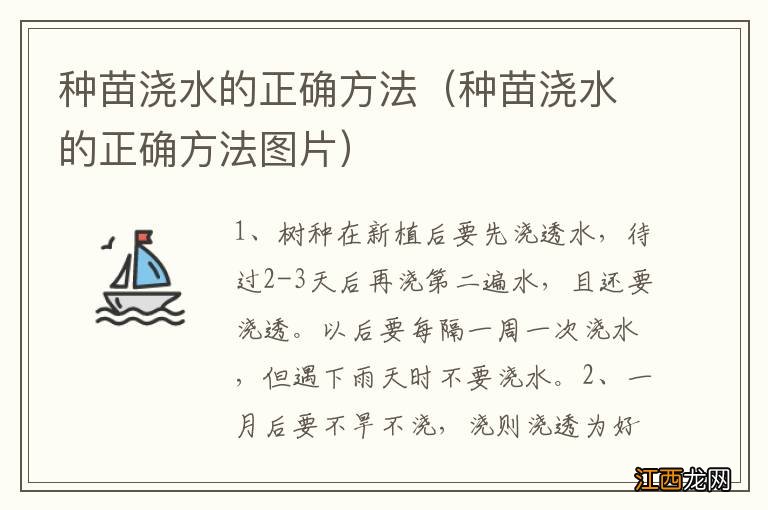 种苗浇水的正确方法图片 种苗浇水的正确方法