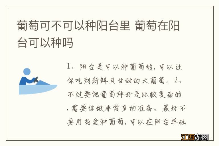 葡萄可不可以种阳台里 葡萄在阳台可以种吗