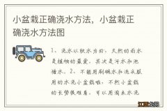 小盆栽正确浇水方法，小盆栽正确浇水方法图