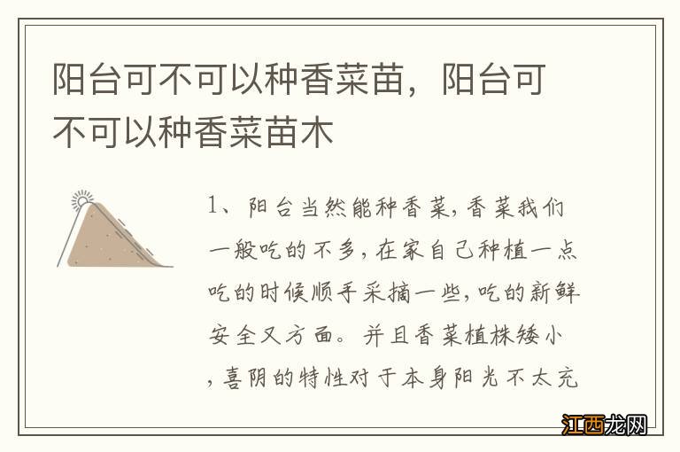 阳台可不可以种香菜苗,阳台可不可以种香菜苗木