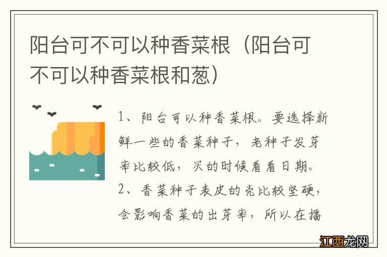 阳台可不可以种香菜根和葱 阳台可不可以种香菜根