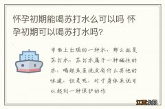 怀孕初期能喝苏打水么可以吗 怀孕初期可以喝苏打水吗?