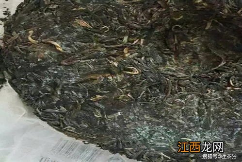 发霉的茶叶怎么分辨