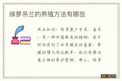 绿萝吊兰的养殖方法有哪些