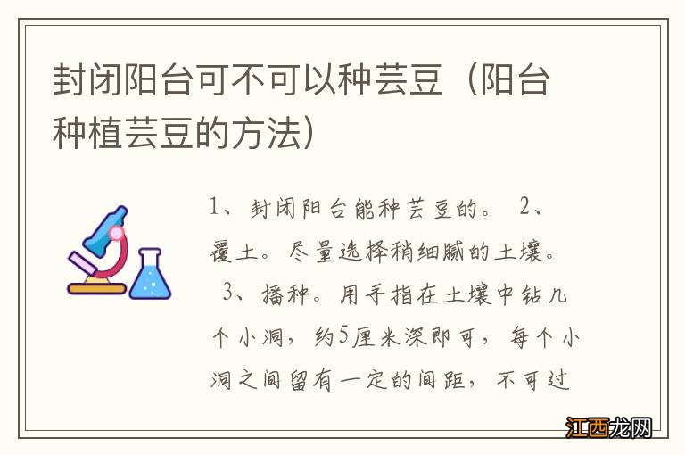 阳台种植芸豆的方法 封闭阳台可不可以种芸豆