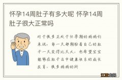 怀孕14周肚子有多大呢 怀孕14周肚子很大正常吗