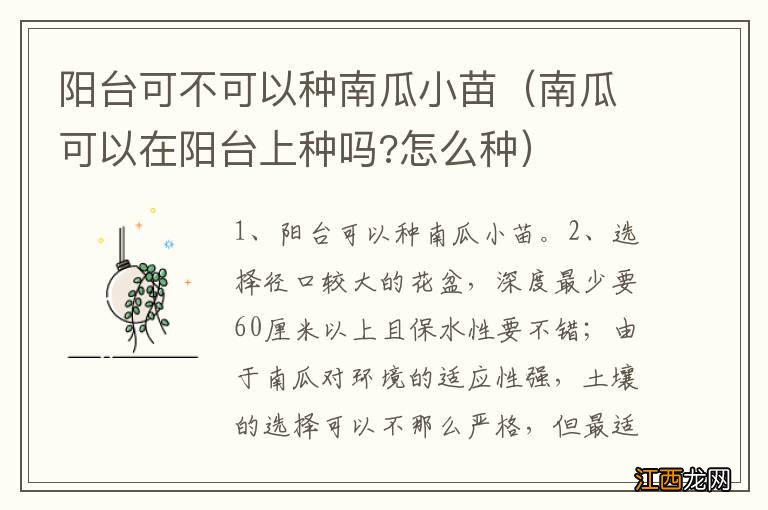 南瓜可以在阳台上种吗?怎么种 阳台可不可以种南瓜小苗