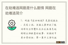 在劫难逃网剧是什么剧情 网剧在劫难逃简介