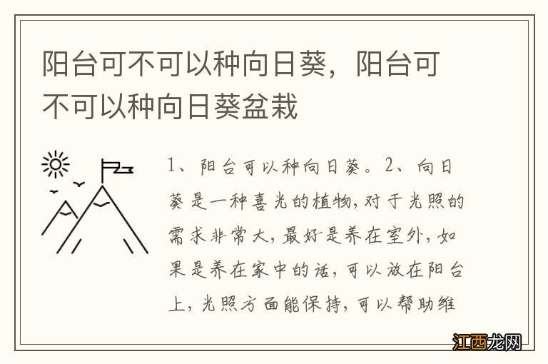 阳台可不可以种向日葵，阳台可不可以种向日葵盆栽