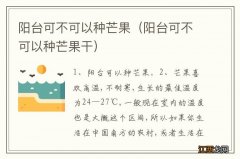 阳台可不可以种芒果干 阳台可不可以种芒果