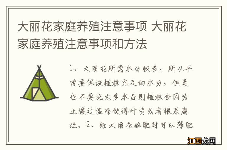 大丽花家庭养殖注意事项 大丽花家庭养殖注意事项和方法