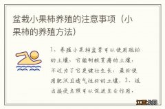 小果柿的养殖方法 盆栽小果柿养殖的注意事项