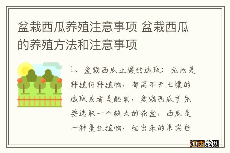 盆栽西瓜养殖注意事项 盆栽西瓜的养殖方法和注意事项