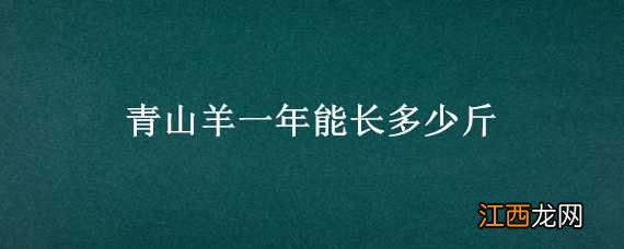 青山羊一年能长多少斤