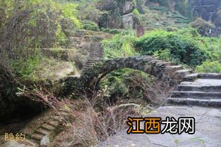 水帘洞岩茶怎么样