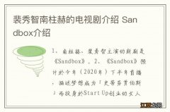 裴秀智南柱赫的电视剧介绍 Sandbox介绍