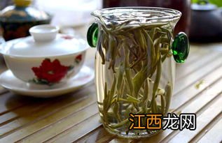 白豪银针茶怎么泡