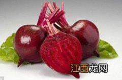 甜菜根是不是红心萝卜 关于甜菜根的介绍