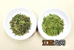 碧螺春新茶怎么识别