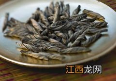 野生苦丁怎么分辨