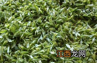 云南的云雾茶怎么样