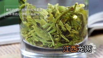 云南的云雾茶怎么样