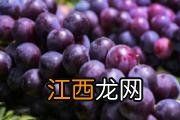 冰糖银耳汤怎么做好吃 推荐三种制作方法