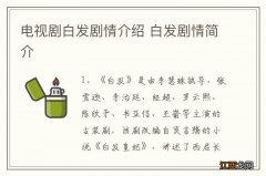 电视剧白发剧情介绍 白发剧情简介