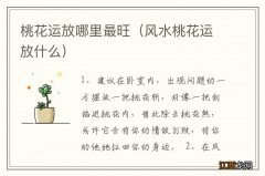 风水桃花运放什么 桃花运放哪里最旺