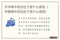 孕期喝牛奶拉肚子是什么原因 怀孕喝牛奶拉肚子是什么原因