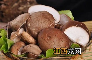 香菇与什么食相克