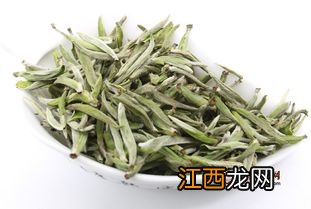 明前白茶怎么泡