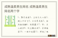 成熟温柔男生网名 成熟温柔男生网名两个字