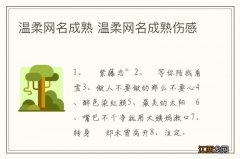 温柔网名成熟 温柔网名成熟伤感