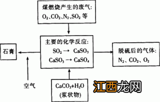 煤是怎么形成的 煤的形成过程介绍